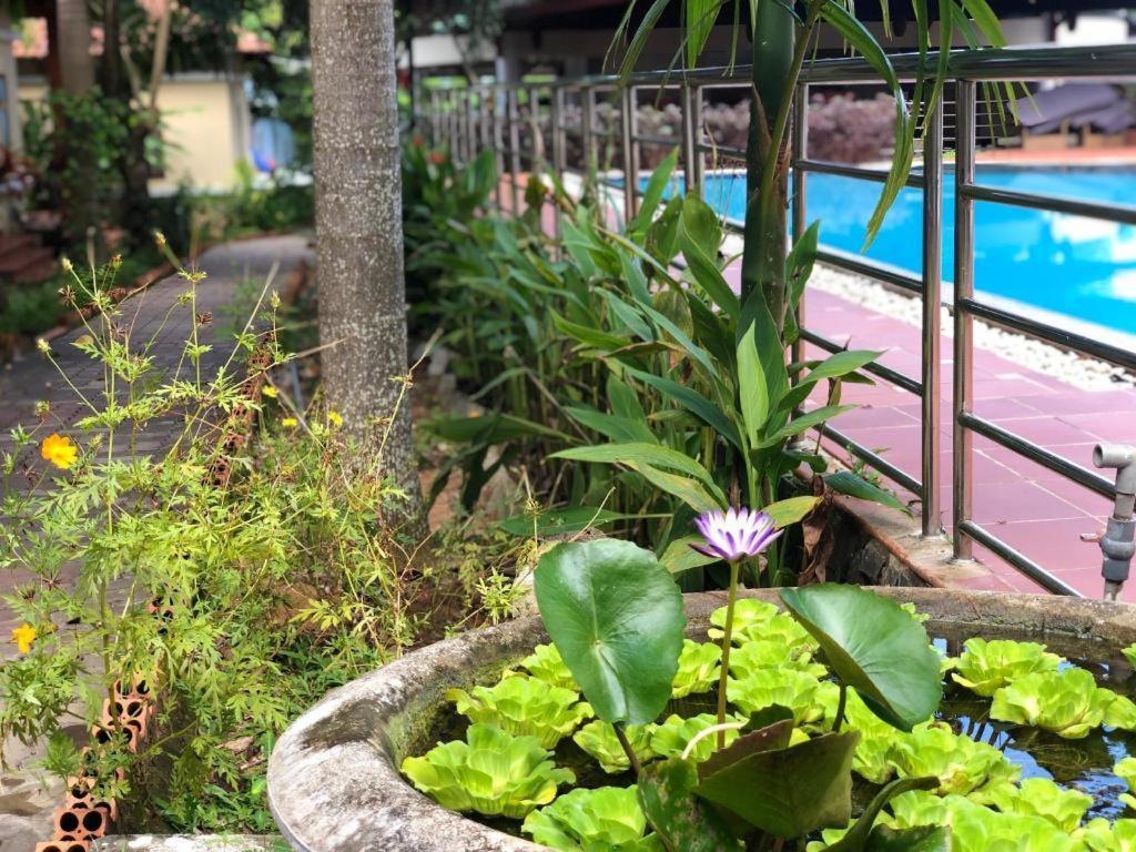Castaways Resort Phu Quoc Luaran gambar
